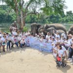 ททท.กาญจนบุรี ต้อนรับคณะนักท่องเที่ยว ‘คาราวาน C2 Connect plus 2023’ พร้อมต่อยอดร่วมมือภาคเอกชน ‘วิริยะประกันภัย’ ผลักดันส่งเสริมโครงการรักษ์ช้างยั่งยืน ณ บ้าน ช.ช้างชรา กาญจนบุรี
