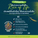 พม. ชวนเที่ยวงาน “Rice of life ประเพณีกินข้าวใหม่ วิถีแห่งความยั่งยืน” สัมผัสวิถีชีวิตราษฎรบนพื้นที่สูง จ.เชียงใหม่ 17-19 ม.ค.นี้